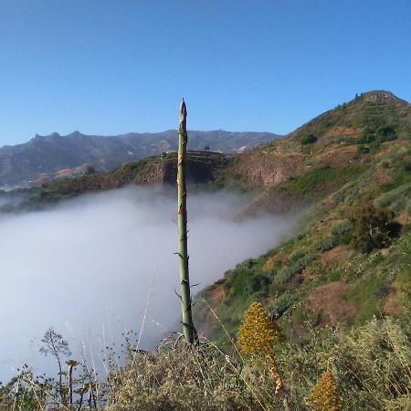 Mar De Flores Vega de San Mateo Bagian luar foto